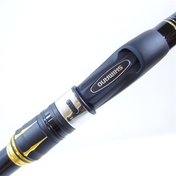 ２１アオリスタ５００